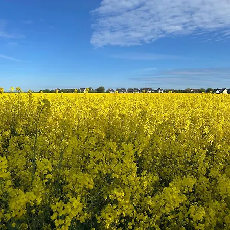 Reethaus Nordlicht - Wellness Mit Meerblick Dranske