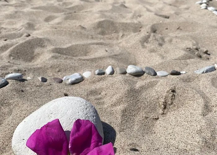 Reethaus Nordlicht - Wellness Mit Meerblick Dranske